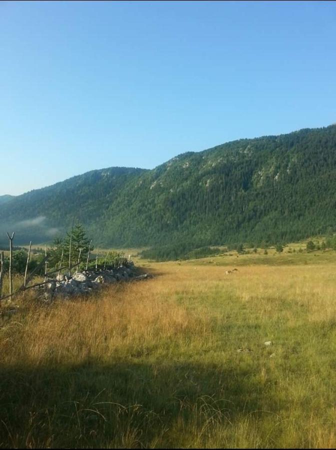Mountain Peace Cottage Žabljak Dış mekan fotoğraf