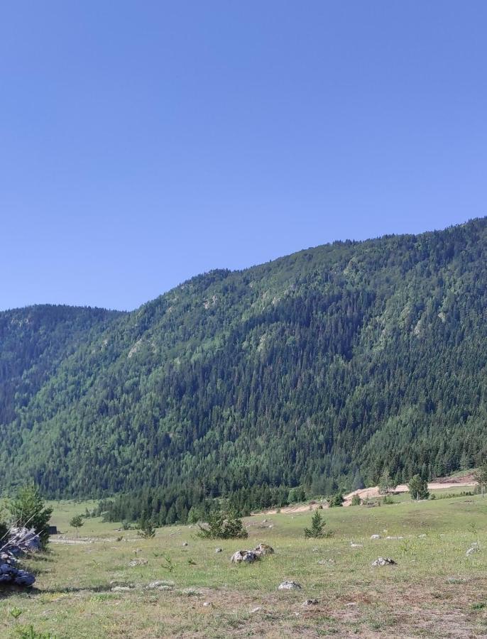 Mountain Peace Cottage Žabljak Dış mekan fotoğraf