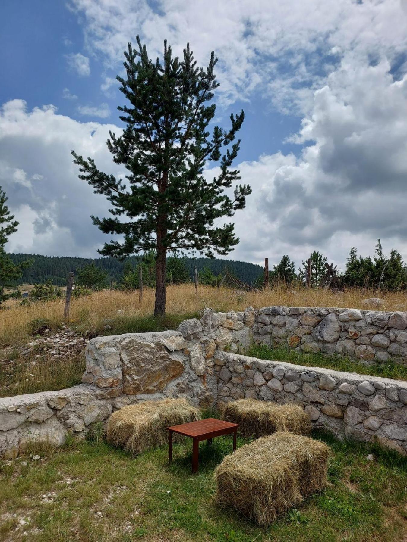 Mountain Peace Cottage Žabljak Dış mekan fotoğraf